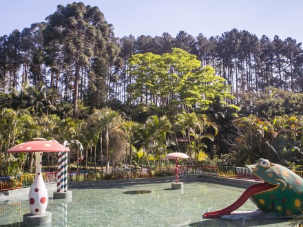 Piscina infantil e área verde